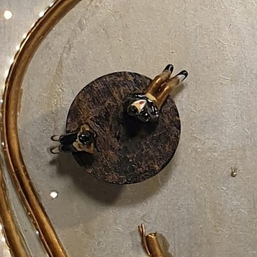 588 - 2019-055552