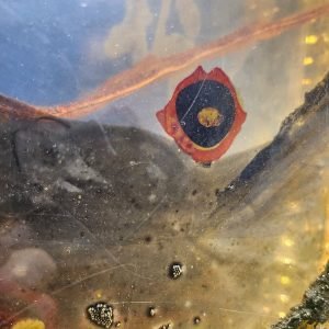 603 - Alive III Sure The Sun Will Rise (6)