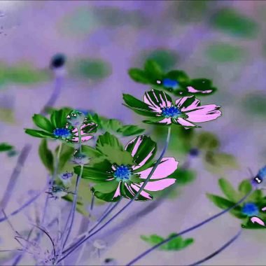 Cassie Theogene, Alive V - Flowers, tribute to Deluxe (1)
