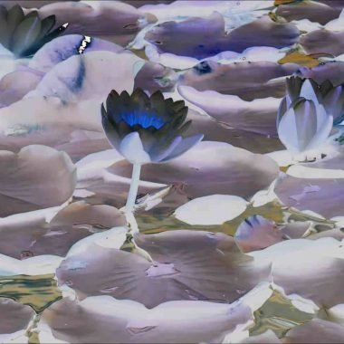 Cassie Theogene, Alive V - Flowers, tribute to Deluxe (12)